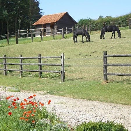 Bezinghem Ferme Des Tilleuls Bed & Breakfast エクステリア 写真